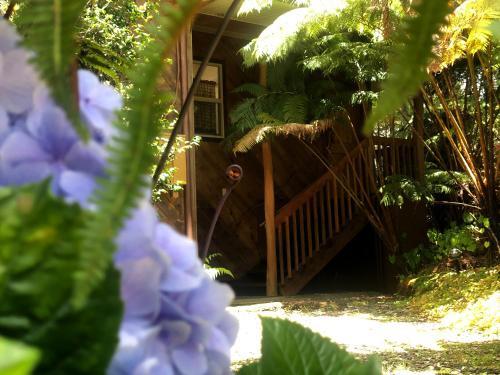 Bed & Breakfast Volcano Inn