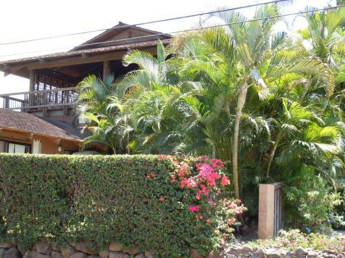 Maui What A Wonderful World Bed & Breakfast