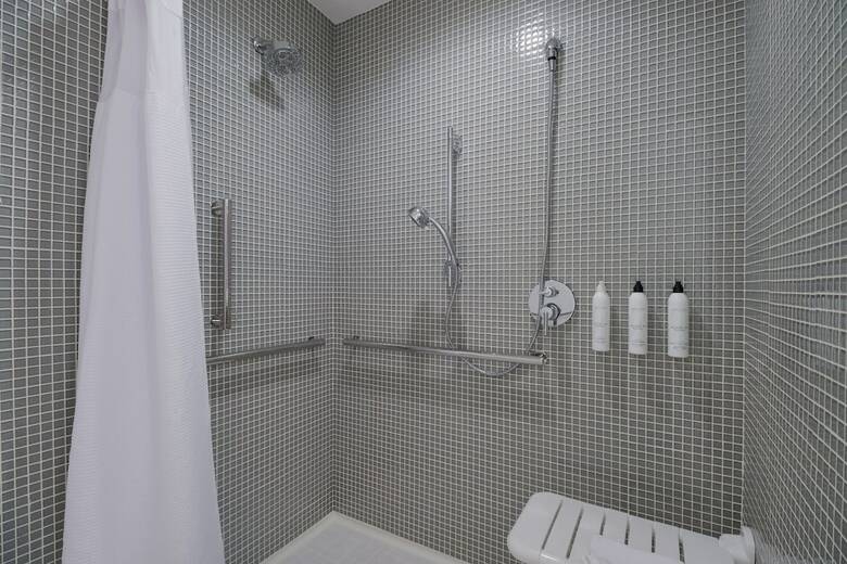 Hotel Springhill Suites By Marriott Dallas/stemmons