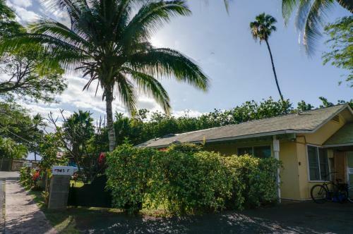The Tiki Hale Hostel