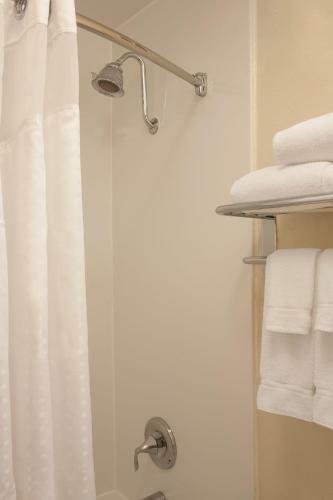 Hotel Holiday Inn Itasca - Woodfield Area