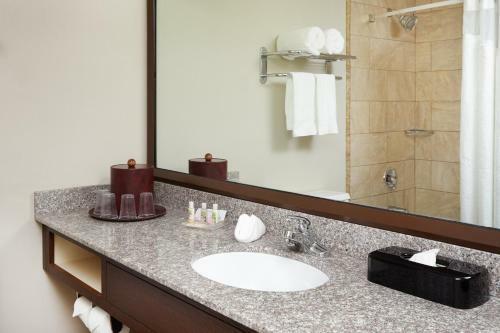 Hotel Holiday Inn Chicago Matteson Conference Center