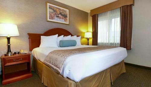 Hotel Best Western Airport Inn Moline