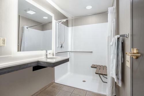 Hotel Holiday Inn Lafayette-city Centre