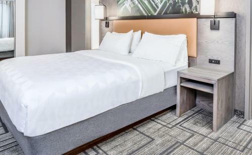 Hotel Holiday Inn Lafayette-city Centre