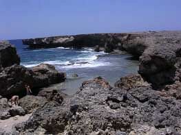 Hotel Tropicana & Bonaire Fun Apartments (.)