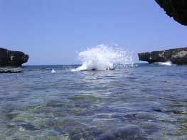 Hotel Tropicana & Bonaire Fun Apartments (.)