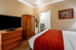 Hotel Comfort Inn & Suites Airport
