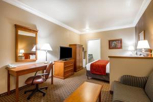 Hotel Comfort Inn & Suites Airport