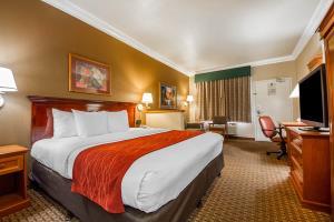 Hotel Comfort Inn & Suites Airport