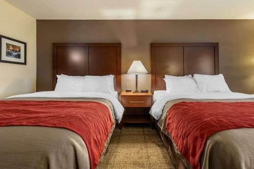Hotel Comfort Inn