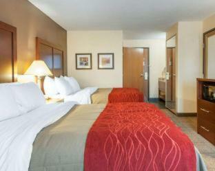 Hotel Comfort Inn