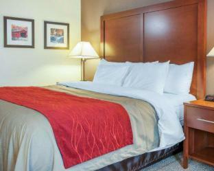 Hotel Comfort Inn