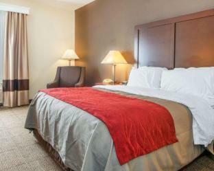 Hotel Comfort Inn