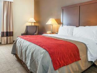Hotel Comfort Inn