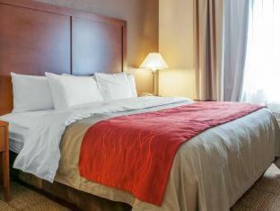Hotel Comfort Inn