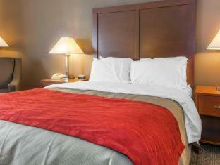 Hotel Comfort Inn
