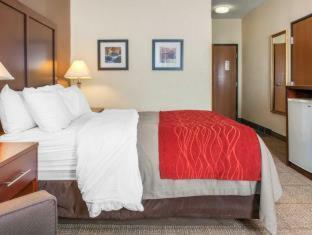 Hotel Comfort Inn