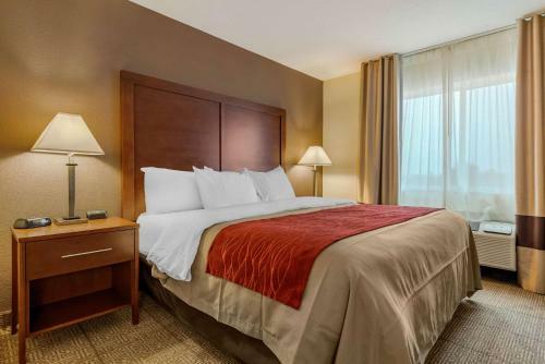 Hotel Comfort Inn