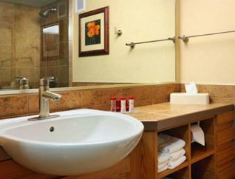 Hotel Ramada By Wyndham Des Moines Tropics Resort & Conference Ctr