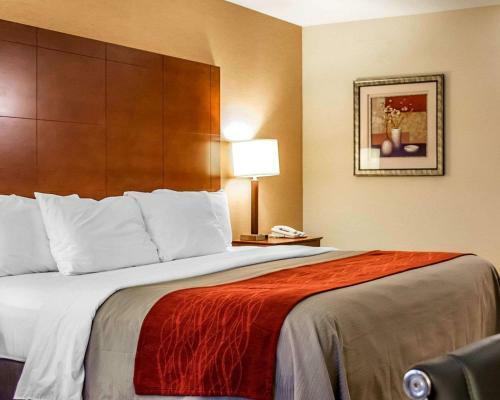 Hotel Comfort Inn And Suites Franklin
