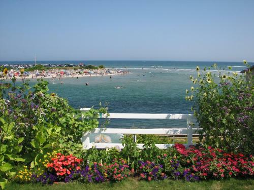 Bed & Breakfast Terrace By The Sea