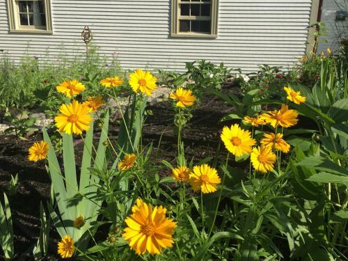 Bed & Breakfast Black Boar Inn Ogunquit