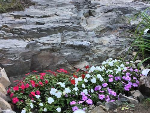 Bed & Breakfast Black Boar Inn Ogunquit