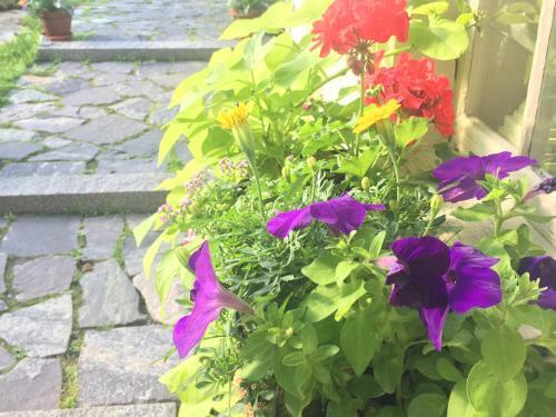 Bed & Breakfast Black Boar Inn Ogunquit