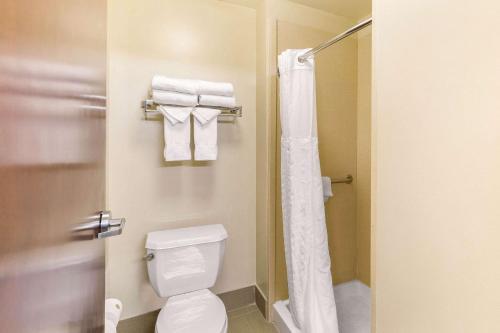 Hotel Comfort Suites Columbia Gateway