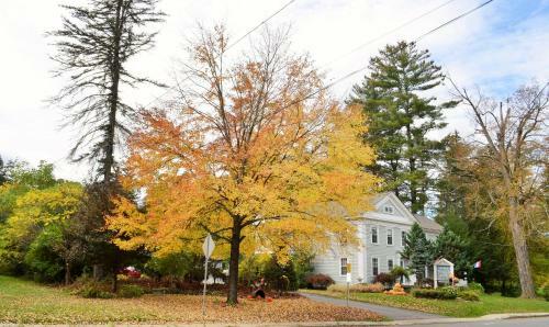 Maple Terrace Motel