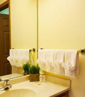 Hotel Towneplace Suites Detroit Dearborn