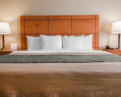 Hotel Comfort Inn Metro Airport Romulus