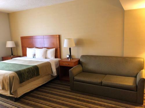 Hotel Comfort Inn Metro Airport Romulus