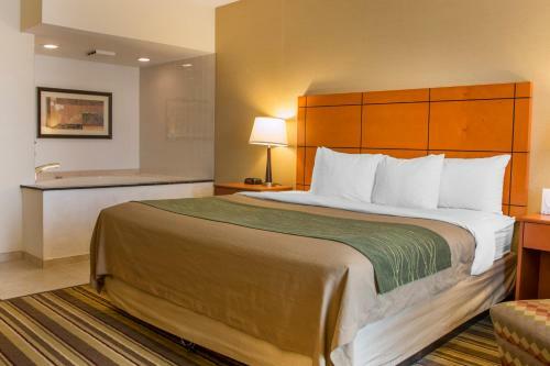 Hotel Comfort Inn Metro Airport Romulus