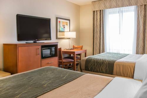 Hotel Comfort Inn Metro Airport Romulus