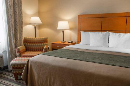 Hotel Comfort Inn Metro Airport Romulus