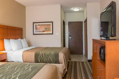 Hotel Comfort Inn Metro Airport Romulus