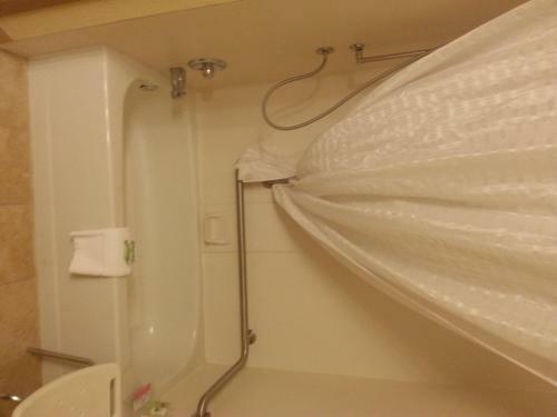 Hotel Country Inn & Suites Saginaw