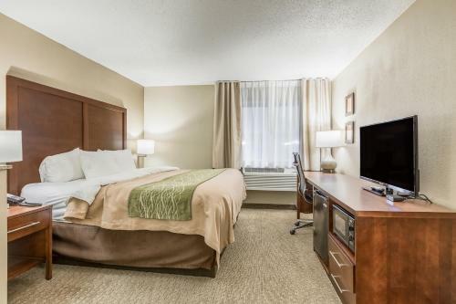 Hotel Comfort Inn