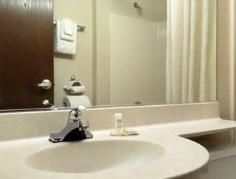 Hotel Microtel Inn & Suites By Wyndham Bloomington/minneapolis