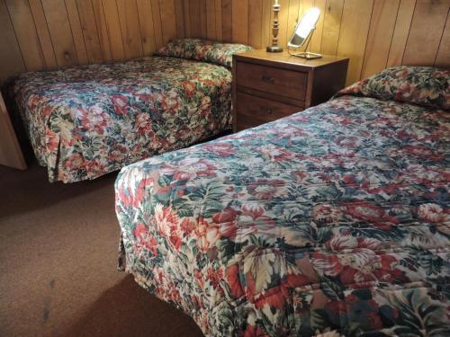 Hotel Tribesman Resort