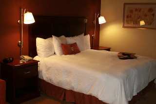 Hotel Hampton Inn Clovis