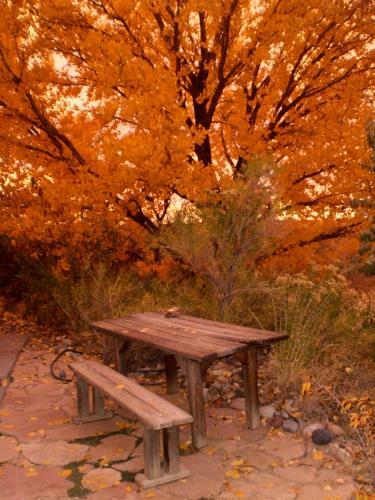 Silver River Adobe Inn Bed And Breakfast
