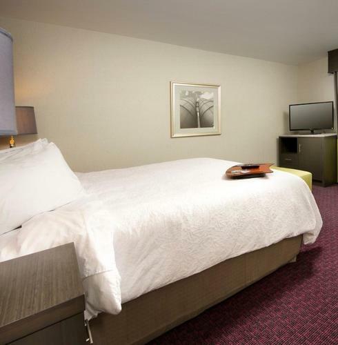 Hotel Hampton Inn & Suites - Buffalo Airport