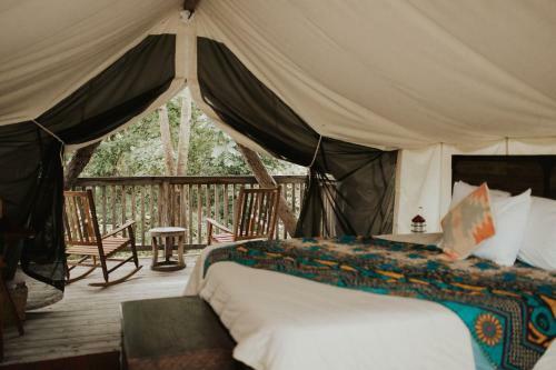 Firelight Camps