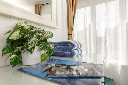 Hotel The Ocean Resort Inn