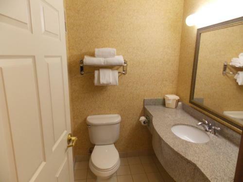 Hotel Holiday Inn Express Syracuse-fairgrounds