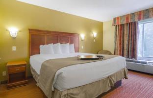 Hotel Quality Inn Medical Park