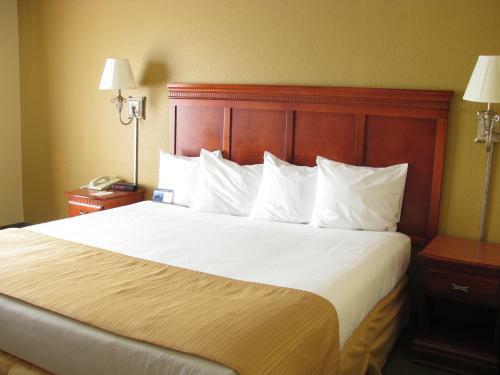 Hotel Quality Inn & Suites Medical Park